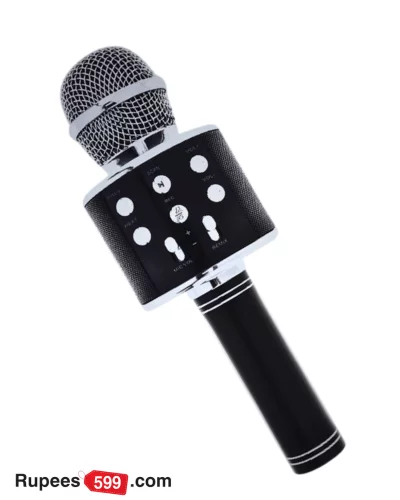Wireless Microphone With Speaker