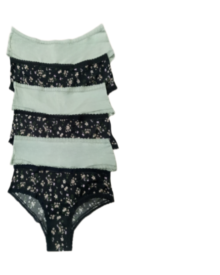 Ladies Underwear - 6 Pieces
